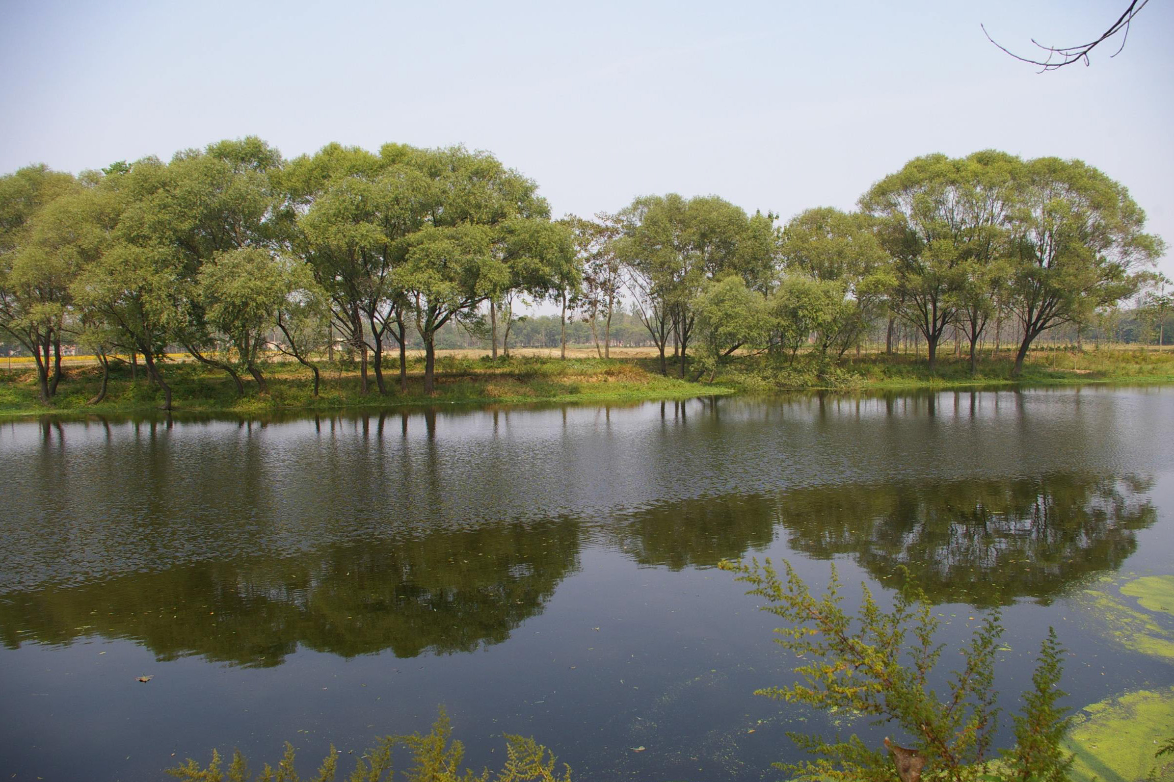 涡水汤汤向东流